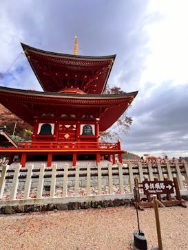 勝尾寺に投稿された画像（2025/11/26）