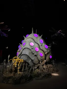 金曜ロードショーとジブリ展（静岡展）に投稿された画像（2025/11/26）