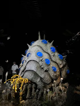 金曜ロードショーとジブリ展（静岡展）に投稿された画像（2025/11/26）