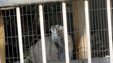 名古屋市東山動植物園に投稿された画像（2025/11/26）