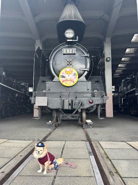 京都鉄道博物館に投稿された画像（2025/11/26）