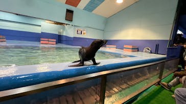 ゼロ距離水族館 伊勢シーパラダイスに投稿された画像（2025/11/26）