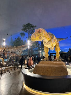 福井県立恐竜博物館に投稿された画像（2025/11/26）