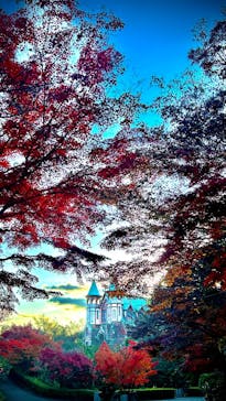 博物館 明治村に投稿された画像（2025/11/26）