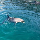 伊豆・三津シーパラダイスに投稿された画像（2025/11/26）