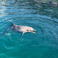 伊豆・三津シーパラダイスに投稿された画像（2025/11/26）