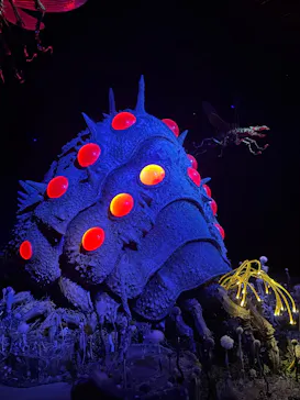 金曜ロードショーとジブリ展（静岡展）に投稿された画像（2025/11/26）