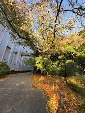特別展「運慶 祈りの空間ー興福寺北円堂」（東京国立博物館　本館 特別５室）に投稿された画像（2025/11/26）