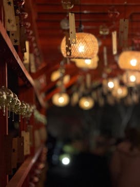 国営昭和記念公園 秋の夜散歩に投稿された画像（2025/11/26）