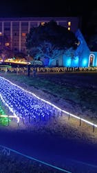 つま恋イルミネーションに投稿された画像（2025/11/26）