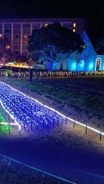 つま恋イルミネーションに投稿された画像（2025/11/26）