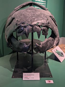 特別展「大絶滅展―生命史のビッグファイブ」に投稿された画像（2025/11/26）