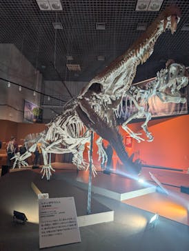 特別展「大絶滅展―生命史のビッグファイブ」に投稿された画像（2025/11/26）