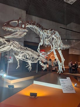 特別展「大絶滅展―生命史のビッグファイブ」に投稿された画像（2025/11/26）