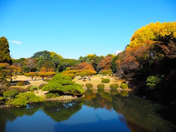 新宿御苑に投稿された画像（2025/11/26）