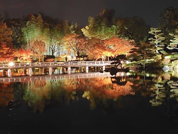 国営昭和記念公園 秋の夜散歩に投稿された画像（2025/11/26）