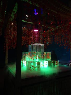 南知多ビーチランド＆南知多おもちゃ王国に投稿された画像（2025/11/26）