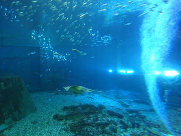 南知多ビーチランド＆南知多おもちゃ王国に投稿された画像（2025/11/26）