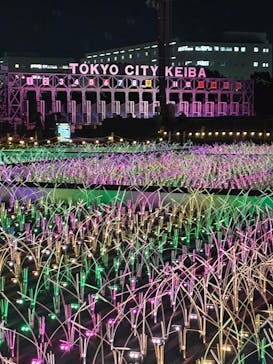 東京メガイルミに投稿された画像（2025/11/26）