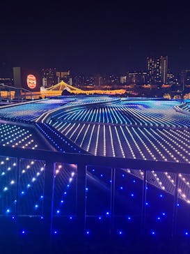 東京メガイルミに投稿された画像（2025/11/26）