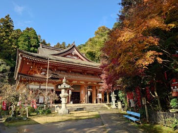 琵琶湖汽船に投稿された画像（2025/11/26）