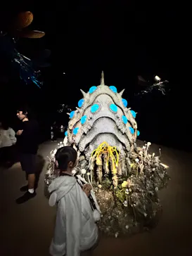 金曜ロードショーとジブリ展（静岡展）に投稿された画像（2025/11/26）