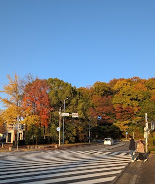 名古屋市東山動植物園に投稿された画像（2025/11/26）
