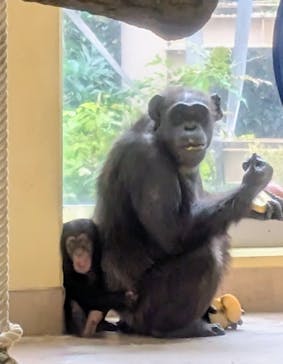 名古屋市東山動植物園に投稿された画像（2025/11/26）