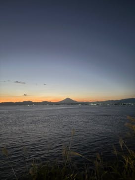 江の島シーキャンドル×新江ノ島水族館に投稿された画像（2025/11/26）