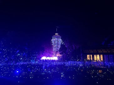 江の島シーキャンドル×新江ノ島水族館に投稿された画像（2025/11/26）