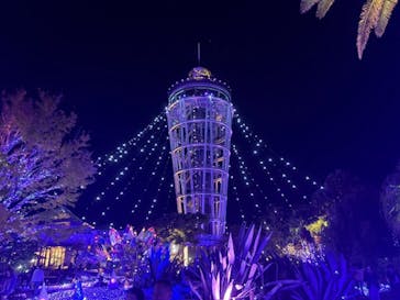 江の島シーキャンドル×新江ノ島水族館に投稿された画像（2025/11/26）