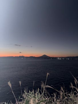 アソビュー！ポイントに投稿された画像（2025/11/26）