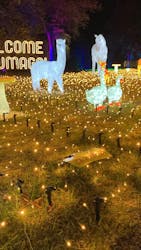 つま恋イルミネーションに投稿された画像（2025/11/26）