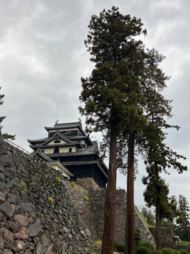 松江城に投稿された画像（2025/11/26）