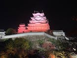 Himeji Castle of Light『DANDELION PROJECT 姫路城×NAKED, INC.』に投稿された画像（2025/11/26）
