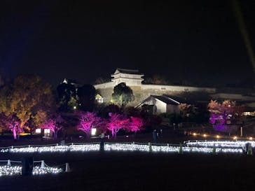 Himeji Castle of Light『DANDELION PROJECT 姫路城×NAKED, INC.』に投稿された画像（2025/11/26）