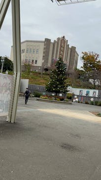 西武園ゆうえんちに投稿された画像（2025/11/26）