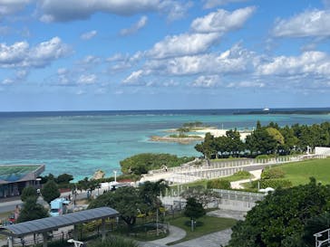 沖縄美ら海水族館に投稿された画像（2025/11/26）