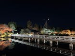 国営昭和記念公園 秋の夜散歩に投稿された画像（2025/11/26）