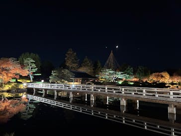 国営昭和記念公園 秋の夜散歩に投稿された画像（2025/11/26）