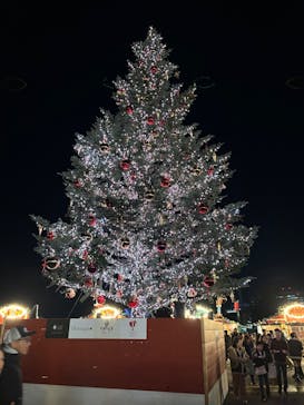 Christmas Market in 横浜赤レンガ倉庫 2025に投稿された画像（2025/11/26）