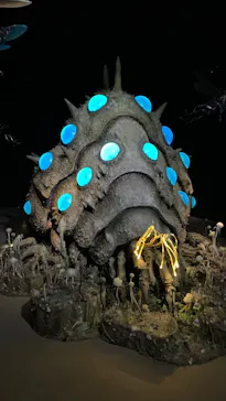 金曜ロードショーとジブリ展（静岡展）に投稿された画像（2025/11/26）