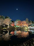 国営昭和記念公園 秋の夜散歩に投稿された画像（2025/11/26）