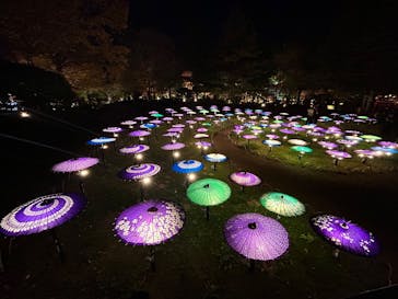 国営昭和記念公園 秋の夜散歩に投稿された画像（2025/11/26）