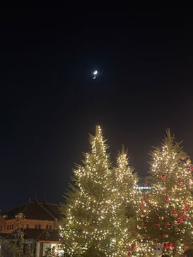 Christmas Market in 横浜赤レンガ倉庫 2025に投稿された画像（2025/11/26）