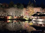 国営昭和記念公園 秋の夜散歩に投稿された画像（2025/11/27）