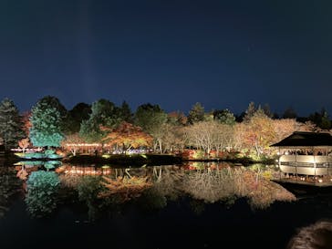 国営昭和記念公園 秋の夜散歩に投稿された画像（2025/11/26）