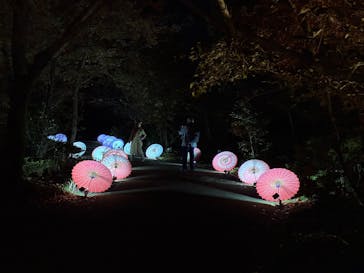国営昭和記念公園 秋の夜散歩に投稿された画像（2025/11/26）