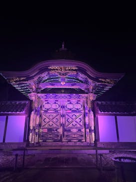 ZEN NIGHT WALK KAMAKURAに投稿された画像（2025/11/26）