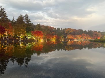 国営昭和記念公園 秋の夜散歩に投稿された画像（2025/11/26）